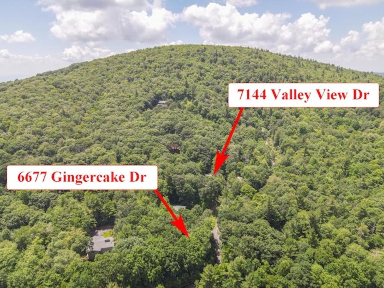Gingercake Mtn Cottage At Linville Gorge - Wood Burning Fireplace Linville Falls Bagian luar foto